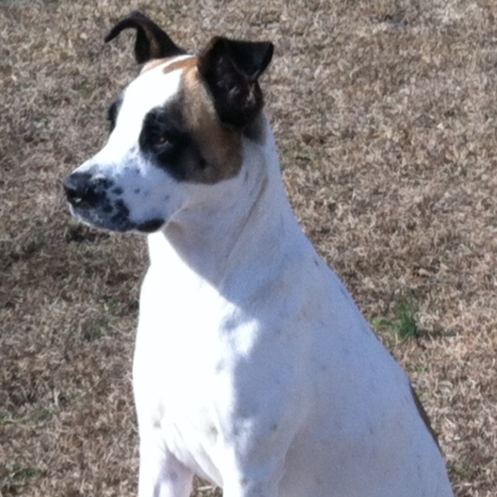 Meet your Posher, Dorothy